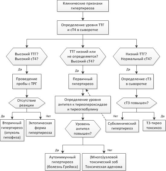 Гипертиреоз - Eurolab