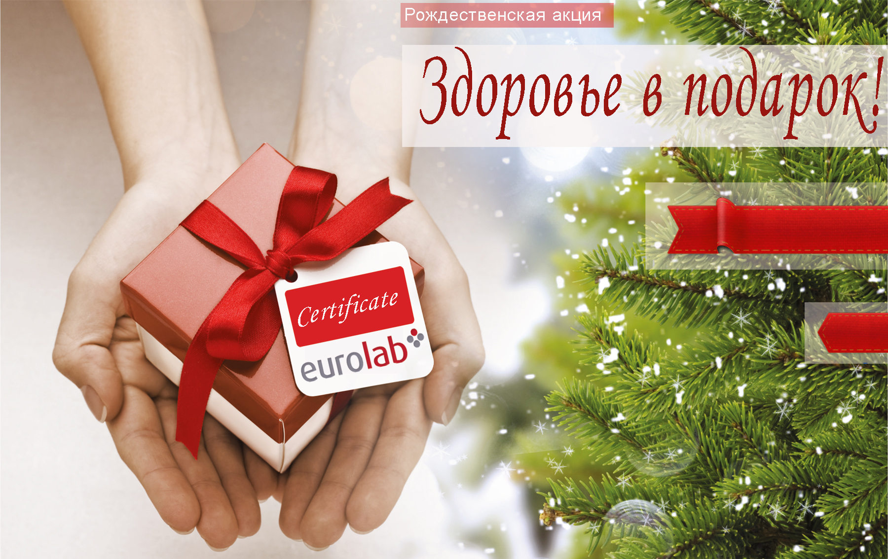 Медицинская лаборатория DitrixMedical центр лабораторной